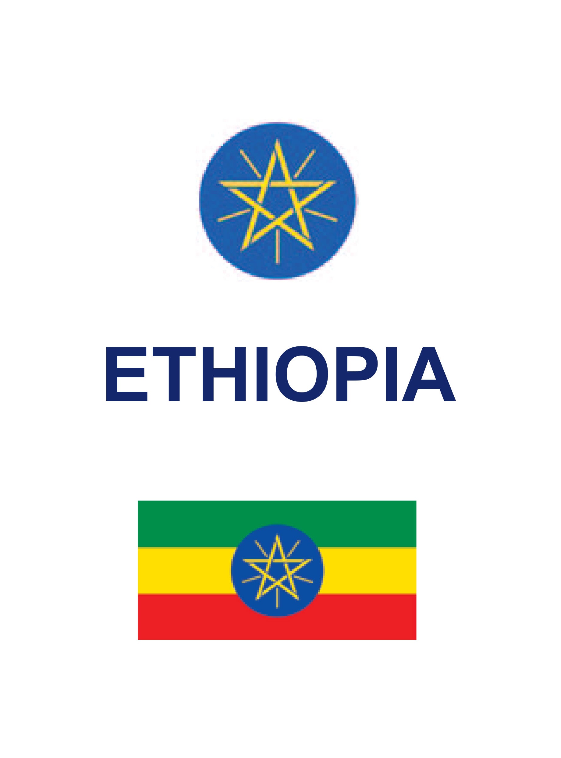 eBizGuides Ethiopia